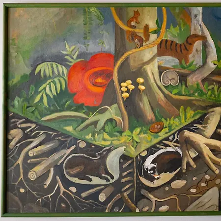 Sky's The Limit! Spacey Loft * Krakau